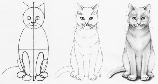 Drawing Cats