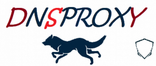 DNSProxy.org DDoS Protection